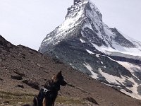 Ki-Shani